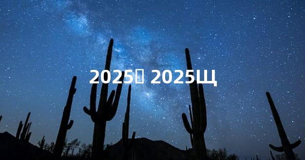 2025Ӹ 2025Щ